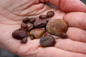 Stones from the beach, Akaroa